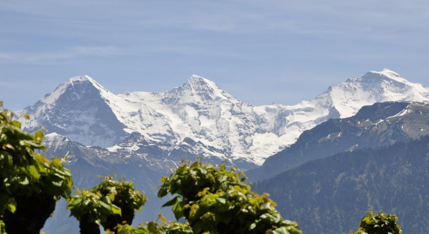 Hotel Schonegg Jungfrau Exteriör bild
